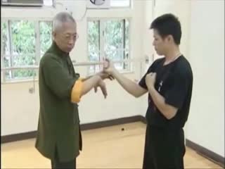 wing chun. master chu shong tin.